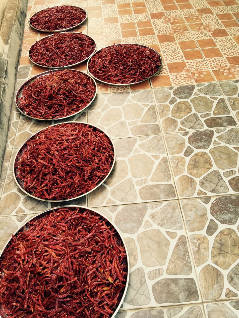 Drying chili in Thailand